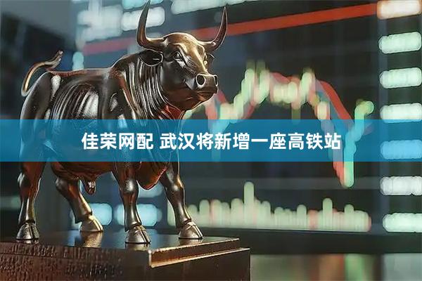 佳荣网配 武汉将新增一座高铁站